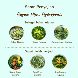 Bayam Hijau Hydroponic 200gram