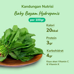 Baby Bayam Hydroponic 200gram