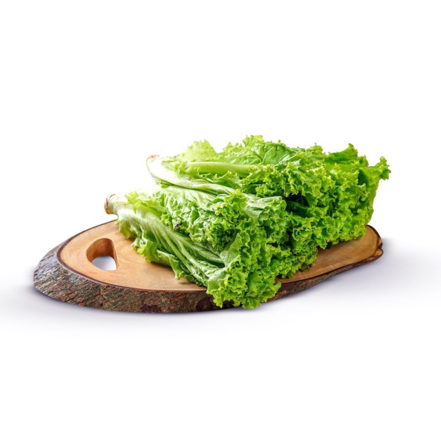 Selada Keriting Hydroponic 200gram_0