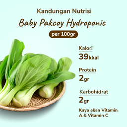 Baby Pakcoy Hydroponic 200gram