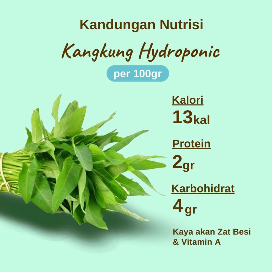 Kangkung Hydroponic 200gram_3