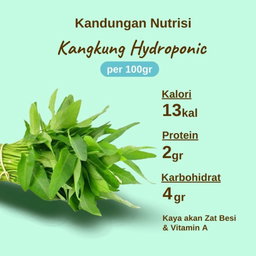 Kangkung Hydroponic 200gram