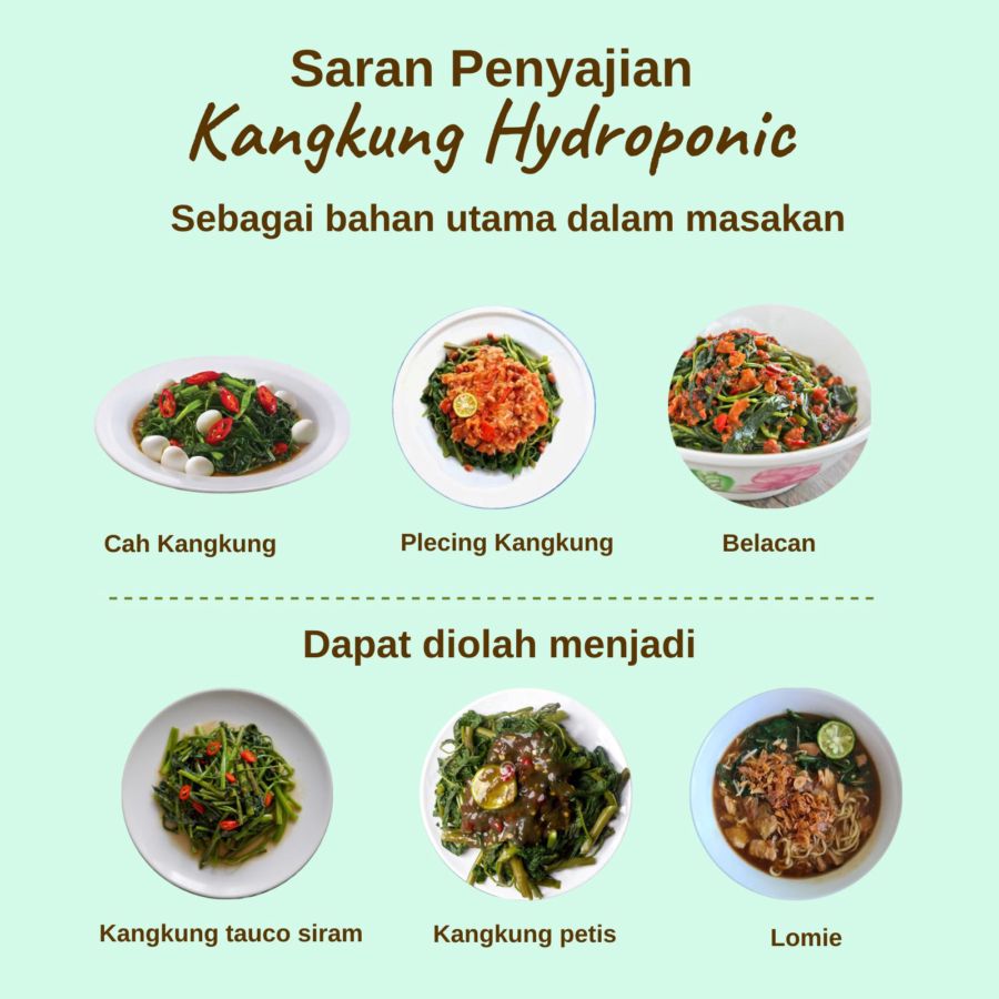 Kangkung Hydroponic 200gram_1