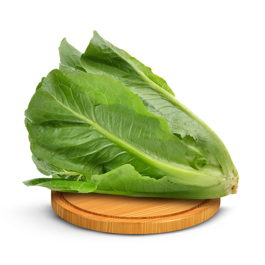Selada Romaine Hydroponic 200gram