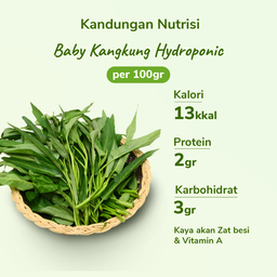 Baby Kangkung Hydroponic 200gram