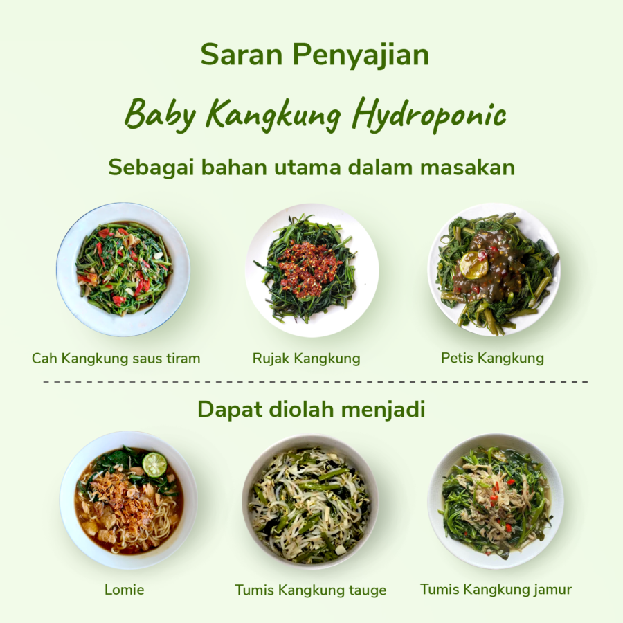 Baby Kangkung Hydroponic 200gram_1