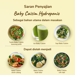 Baby Caisim Hydroponic 200gram