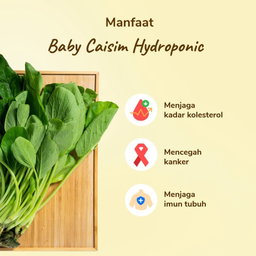 Baby Caisim Hydroponic 200gram