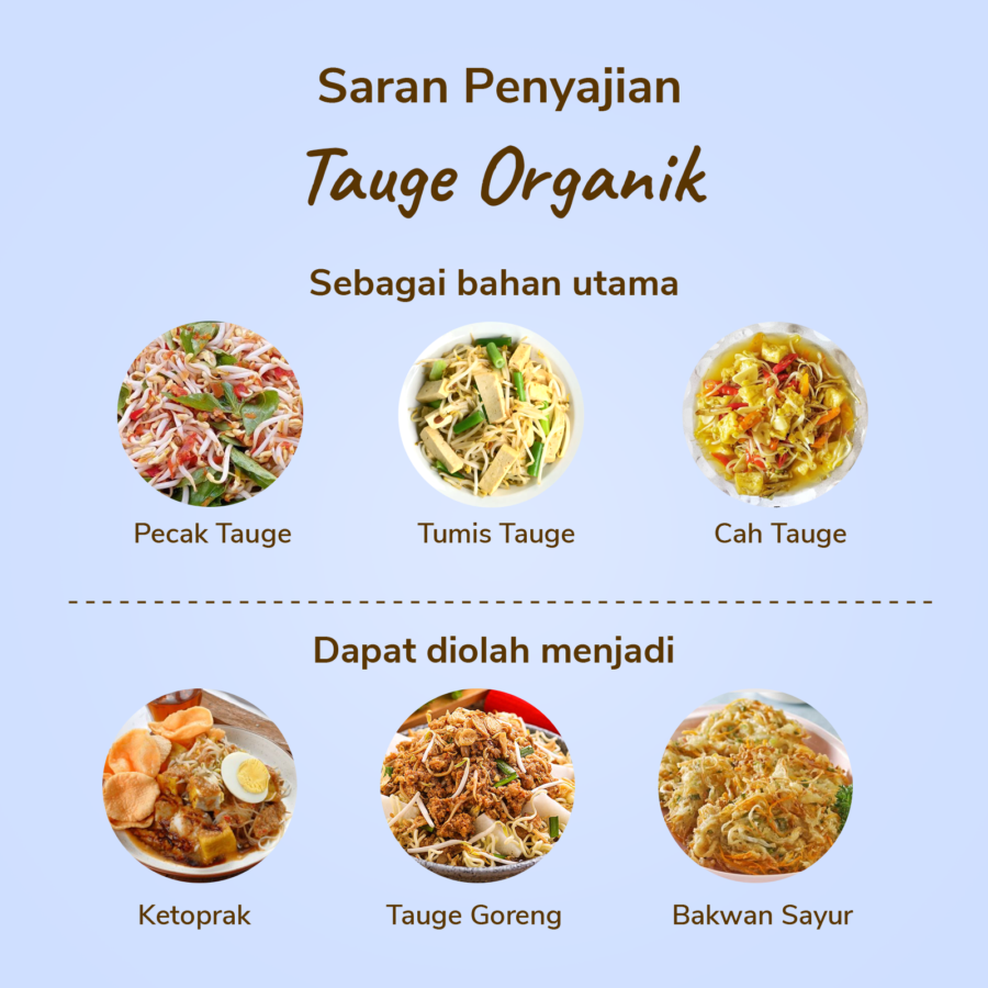 Amazing Farm Tauge Organik 200gram_1