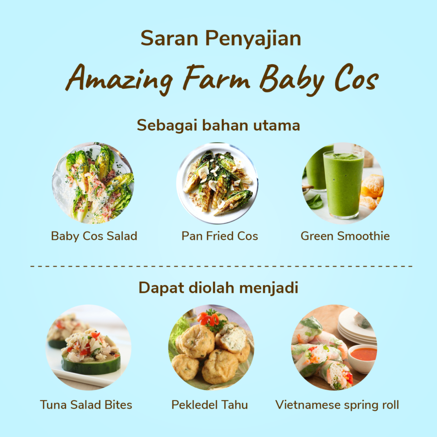 Amazing Farm Baby Cos 250gram_1