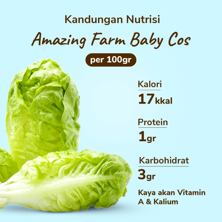 Amazing Farm Baby Cos 250gram_3