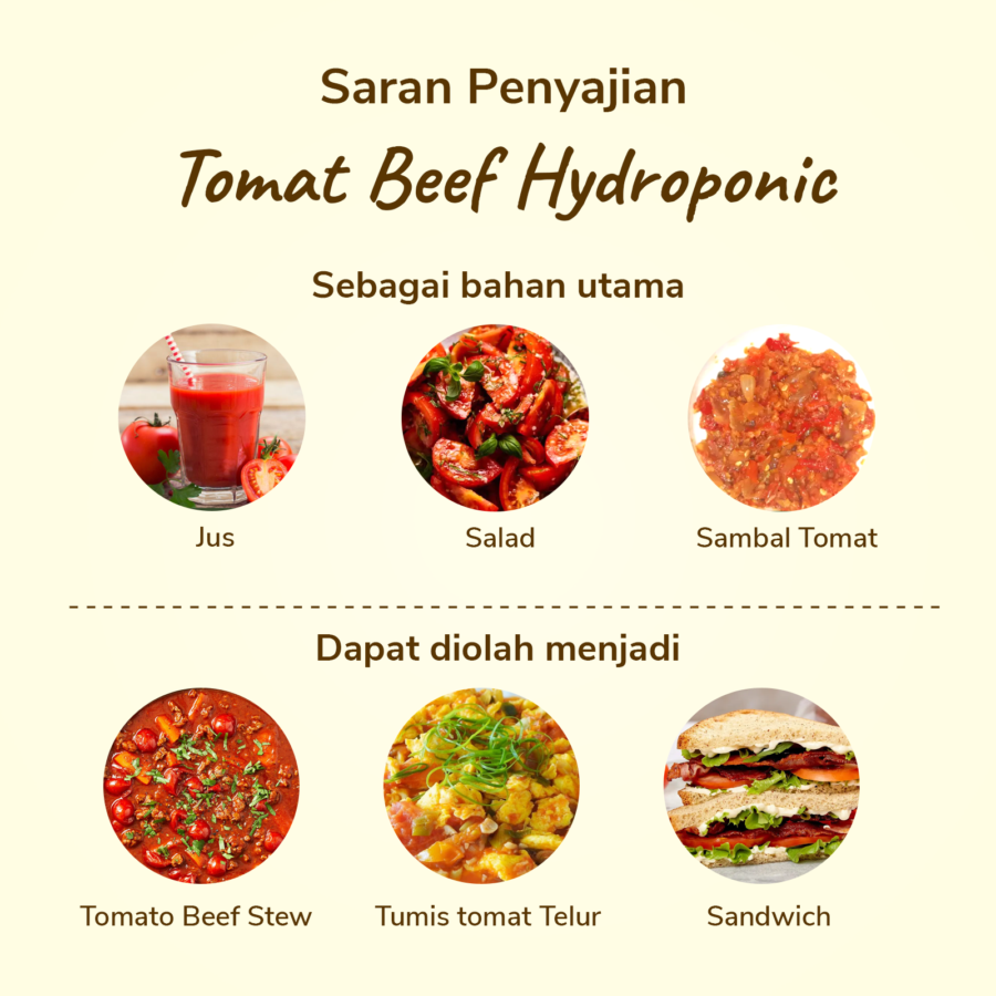 Tomat Beef Hydroponic 1kg_1