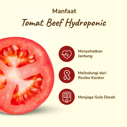 Tomat Beef Hydroponic 1kg