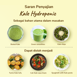 Kale Hydroponic 200gram