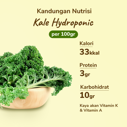 Kale Hydroponic 200gram