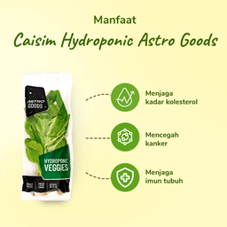 Caisim Hydroponic 200gram