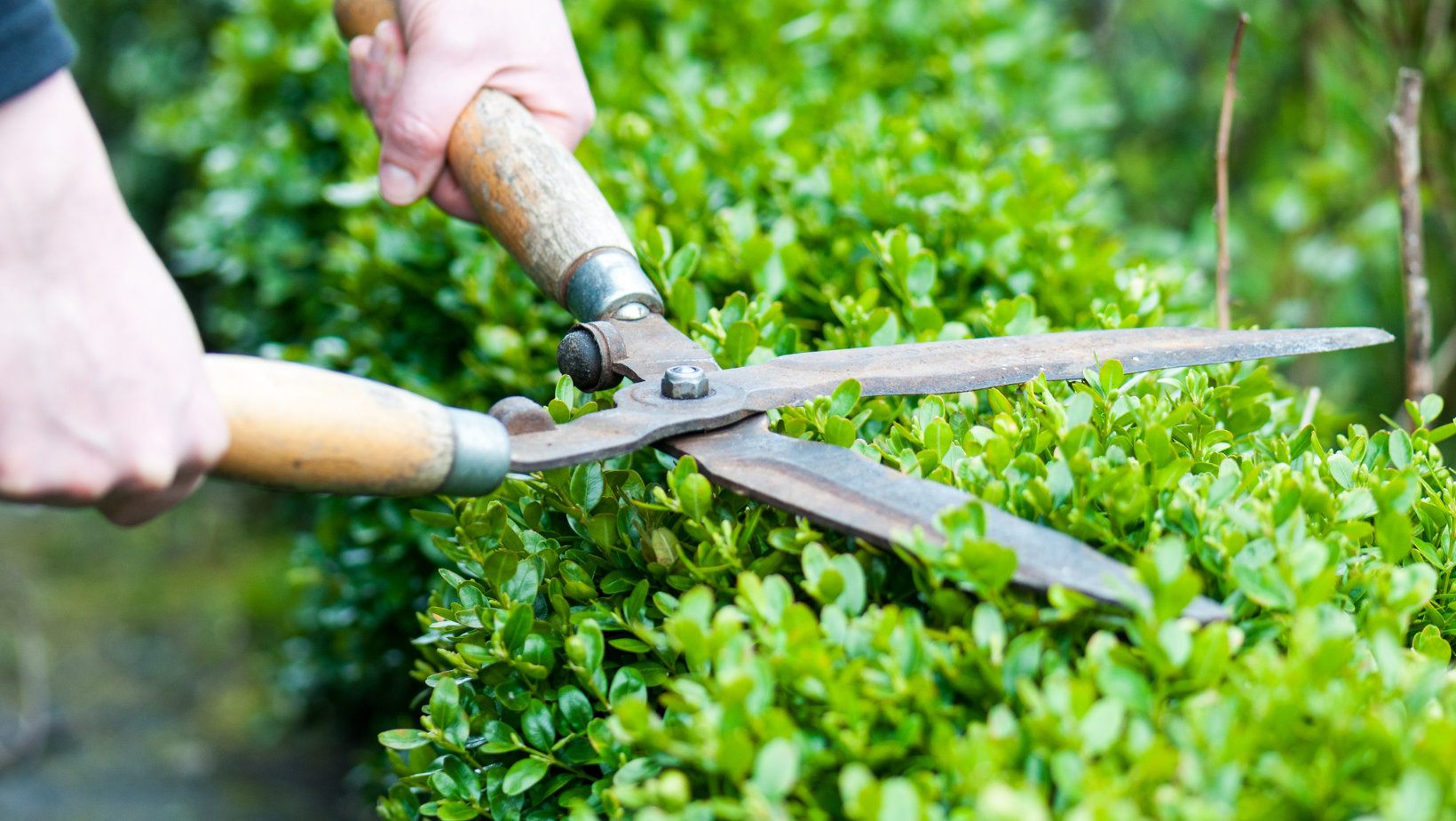 Gardening_0