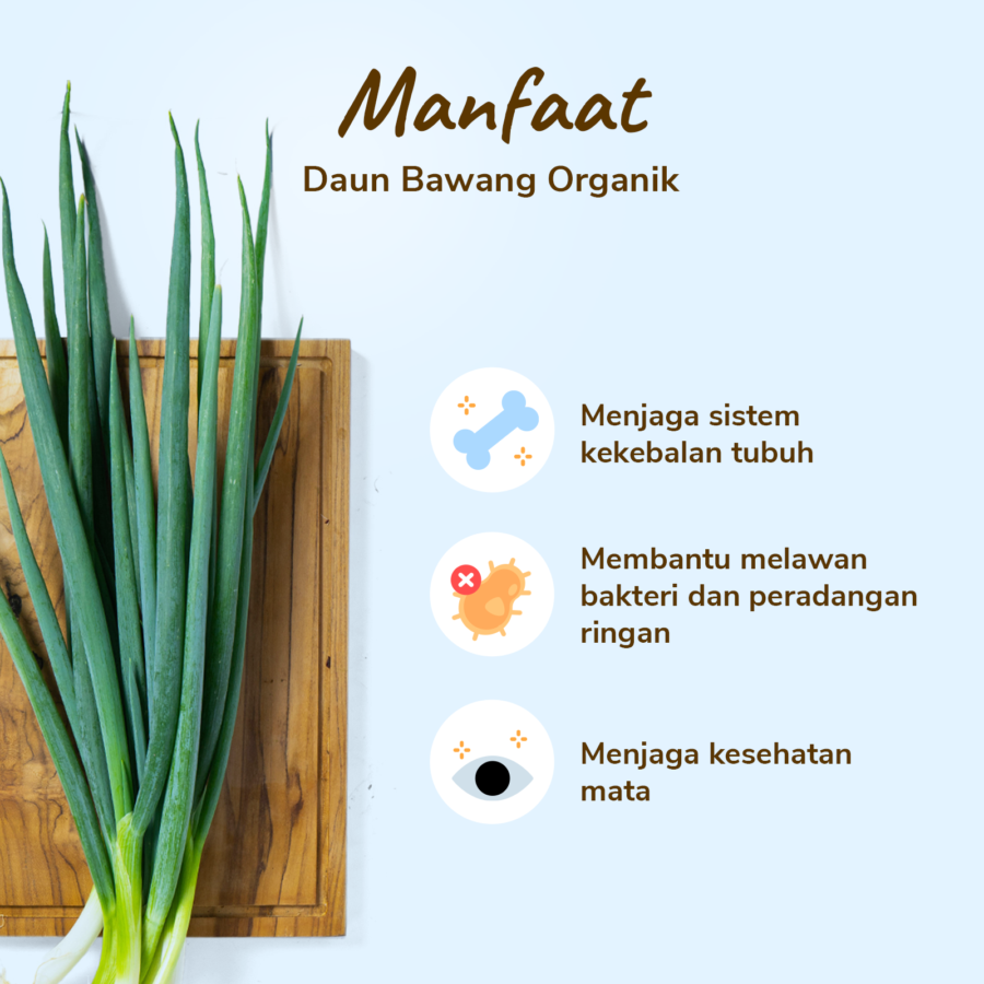 Daun Bawang Organik 150gram_2