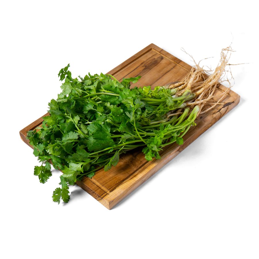 Daun Ketumbar Organik 1pack