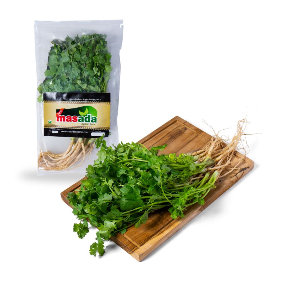 Daun Ketumbar Organik 1pack_1