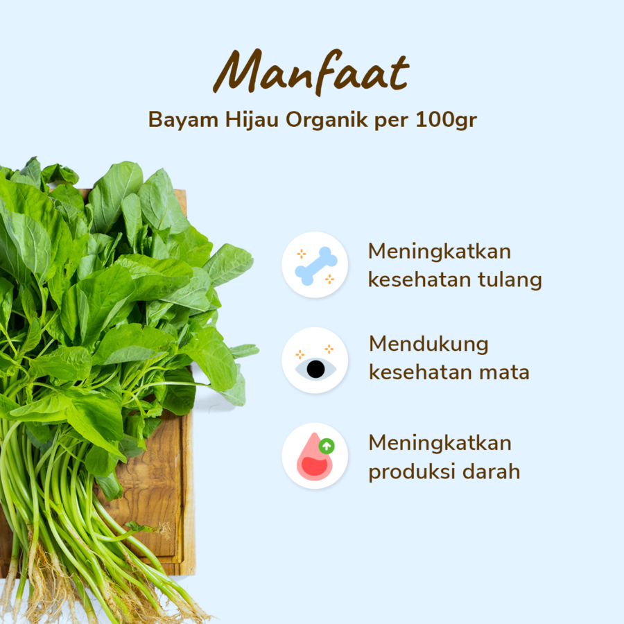 Bayam Hijau Organik 250gram_2