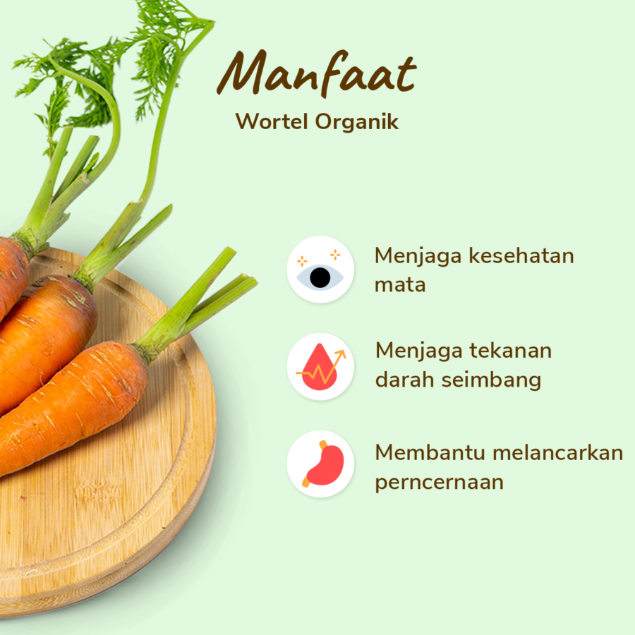 Wortel Organik 500gram_2
