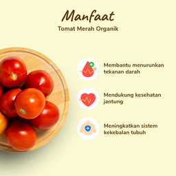 Tomat Merah Organik 500gram