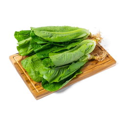 Selada Romaine Organik 250gram