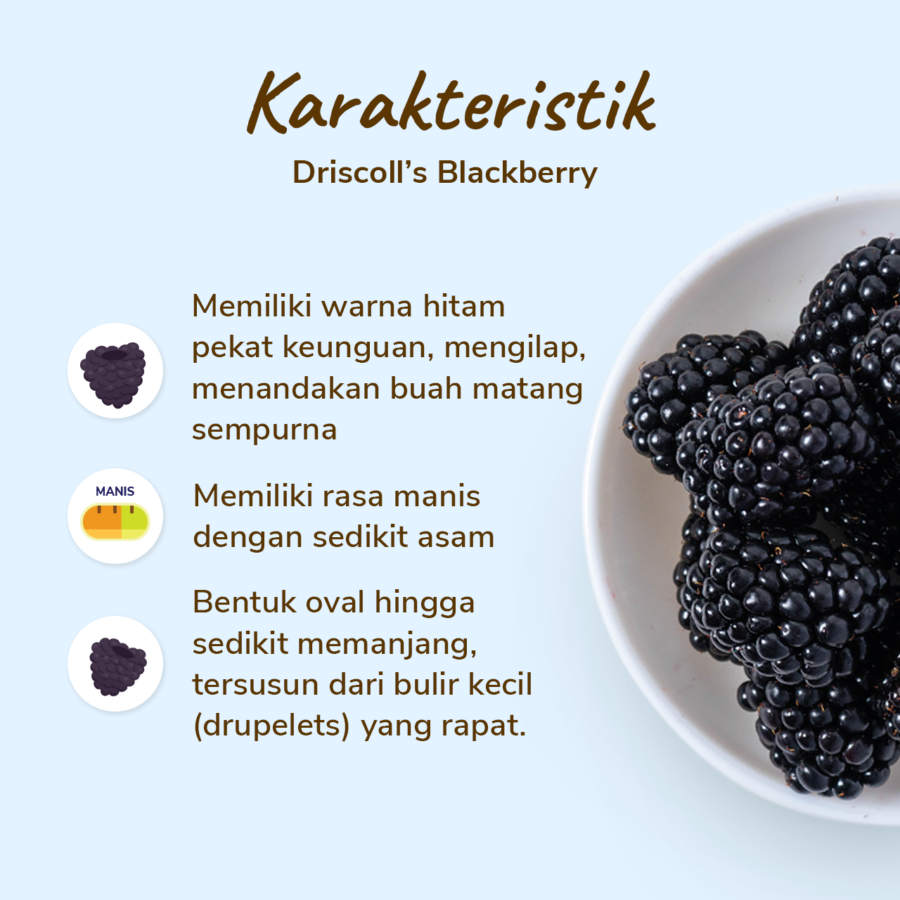 Driscoll's Blackberry 125gram_1