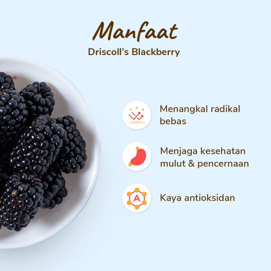 Driscoll's Blackberry 125gram_2