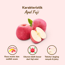 Apel Fuji 2-3 pcs 450-550 gram