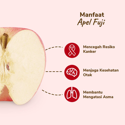 Apel Fuji 2-3 pcs 450-550 gram