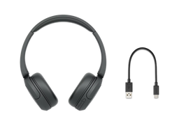 Sony WH-CH520