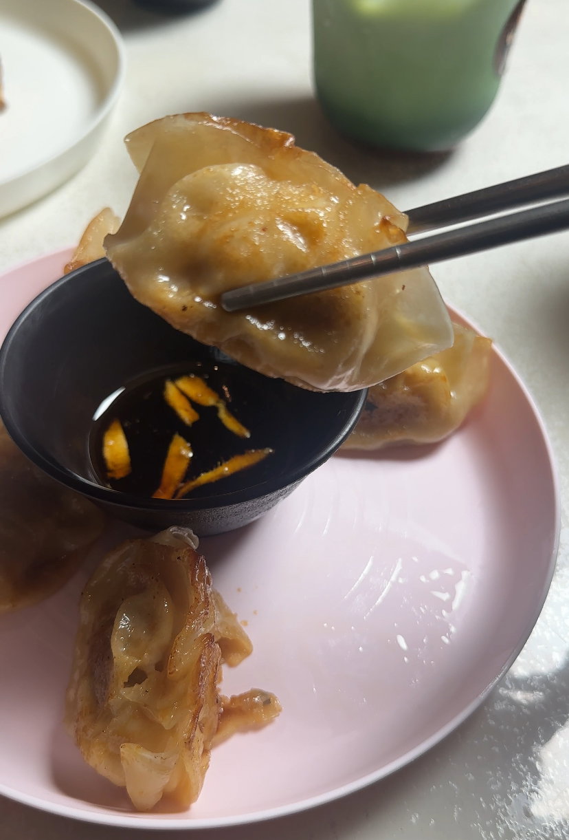 Gyoza with chicken & cheese_0