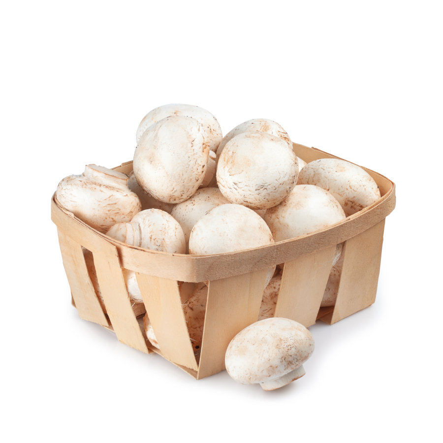 Jamur Champignon 250gram
