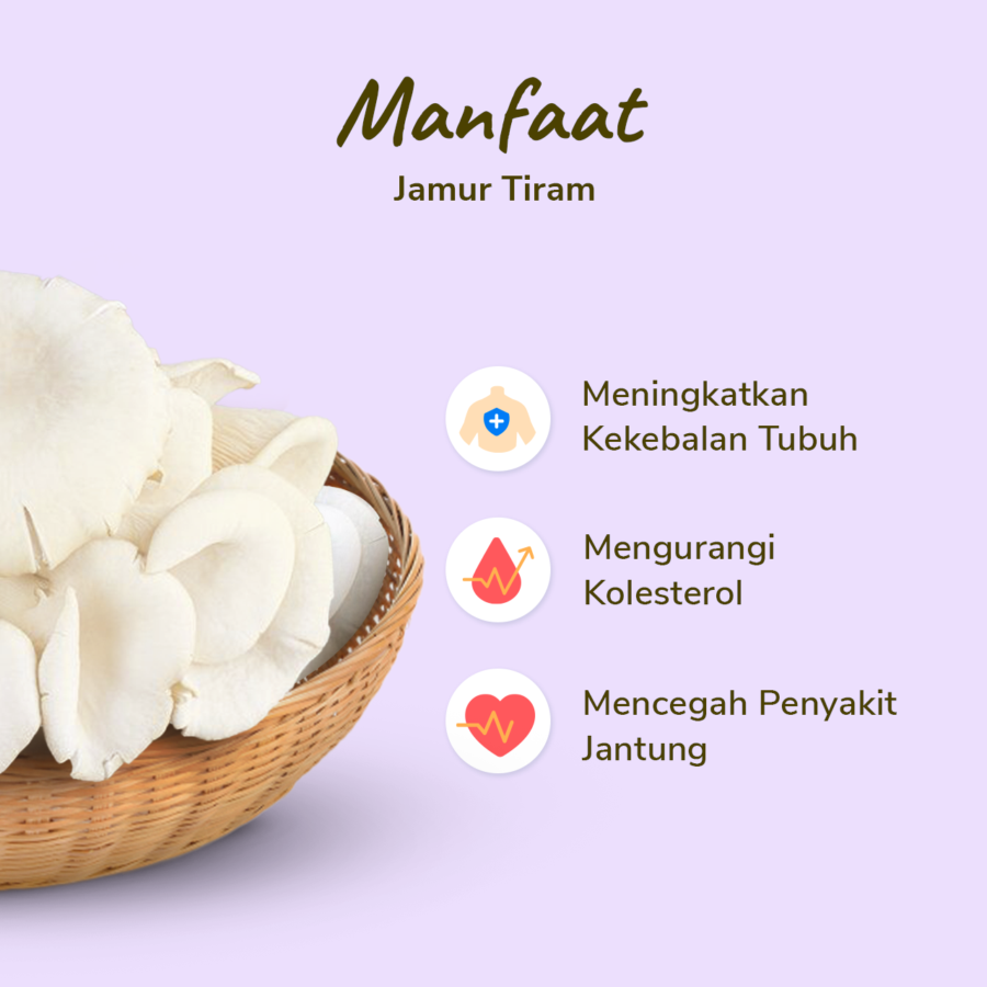 Jamur Tiram - 250gram_2