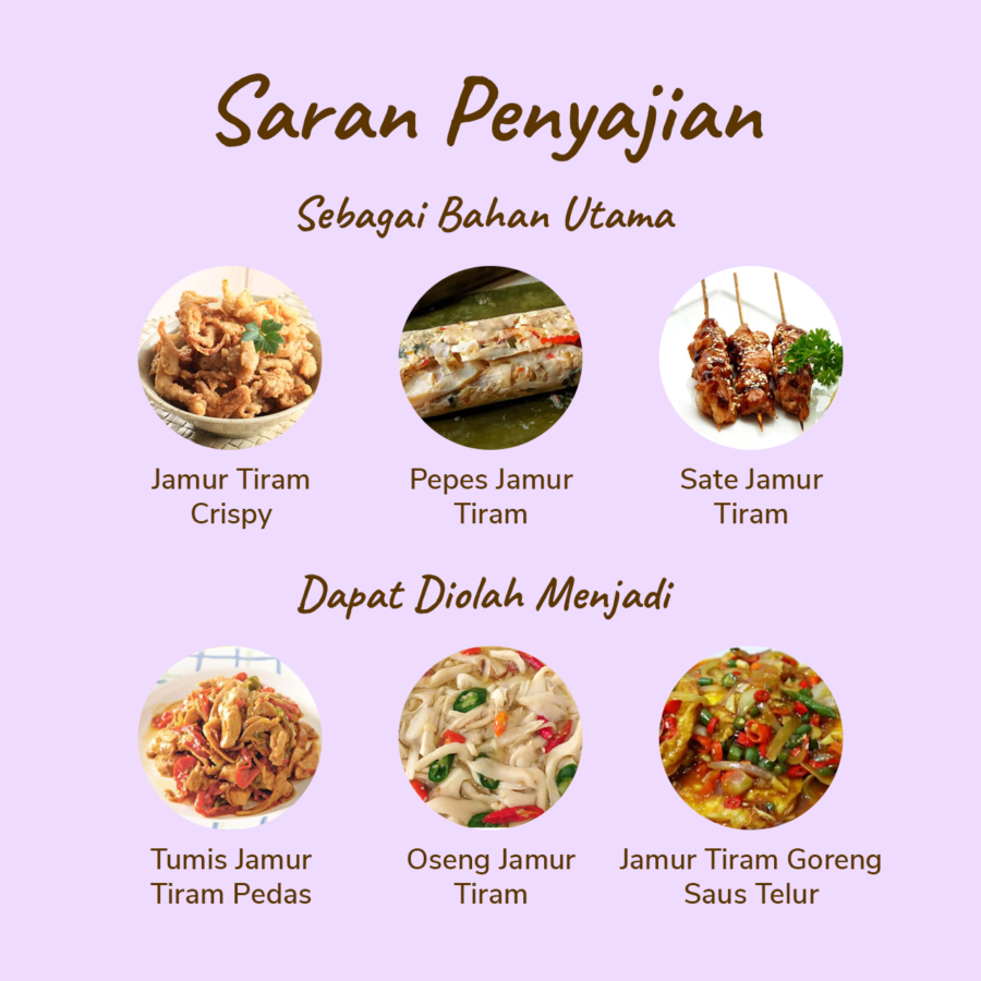Jamur Tiram - 250gram_1
