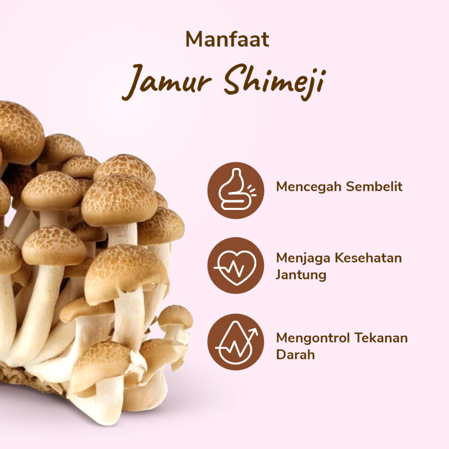Jamur Shimeji Coklat 150gram_2
