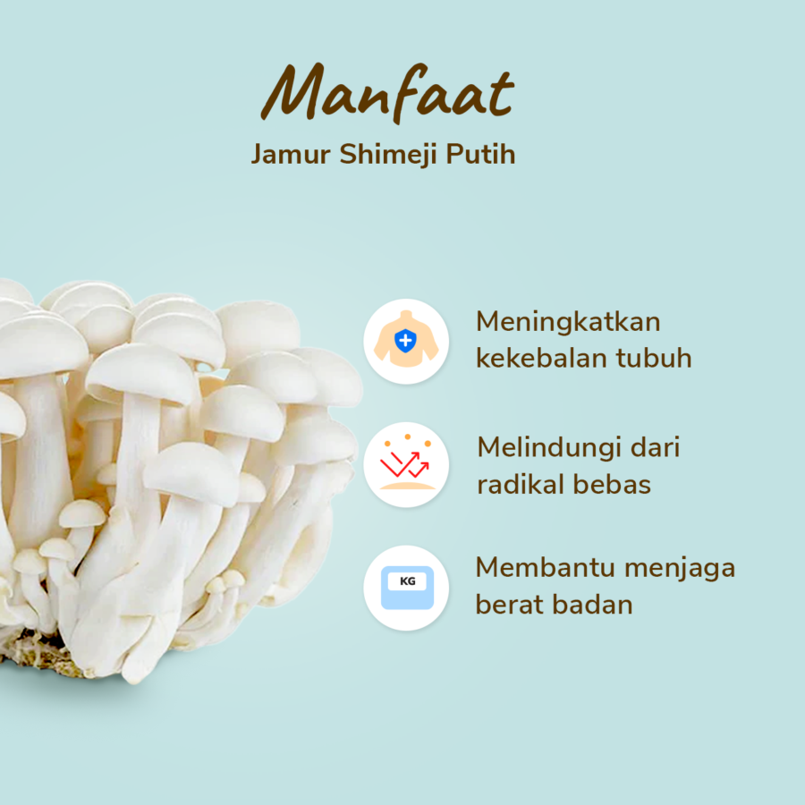 Jamur Shimeji Putih 150gram_2