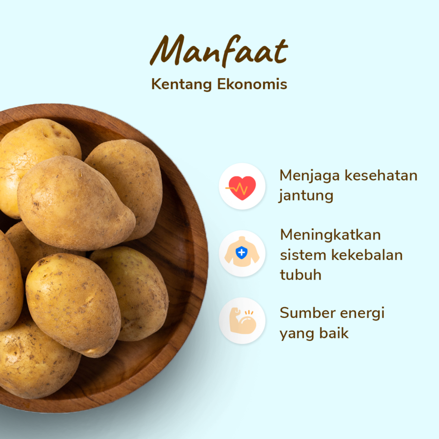 Kentang Ekonomis 500 gram_2
