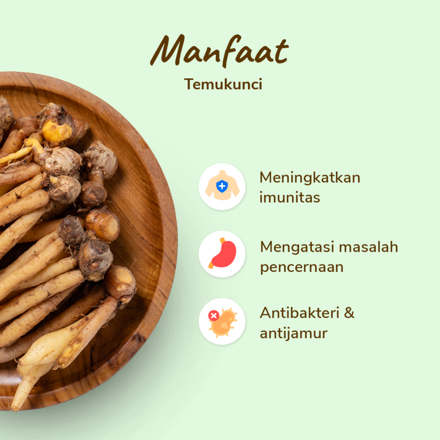 Temukunci 100gram_2