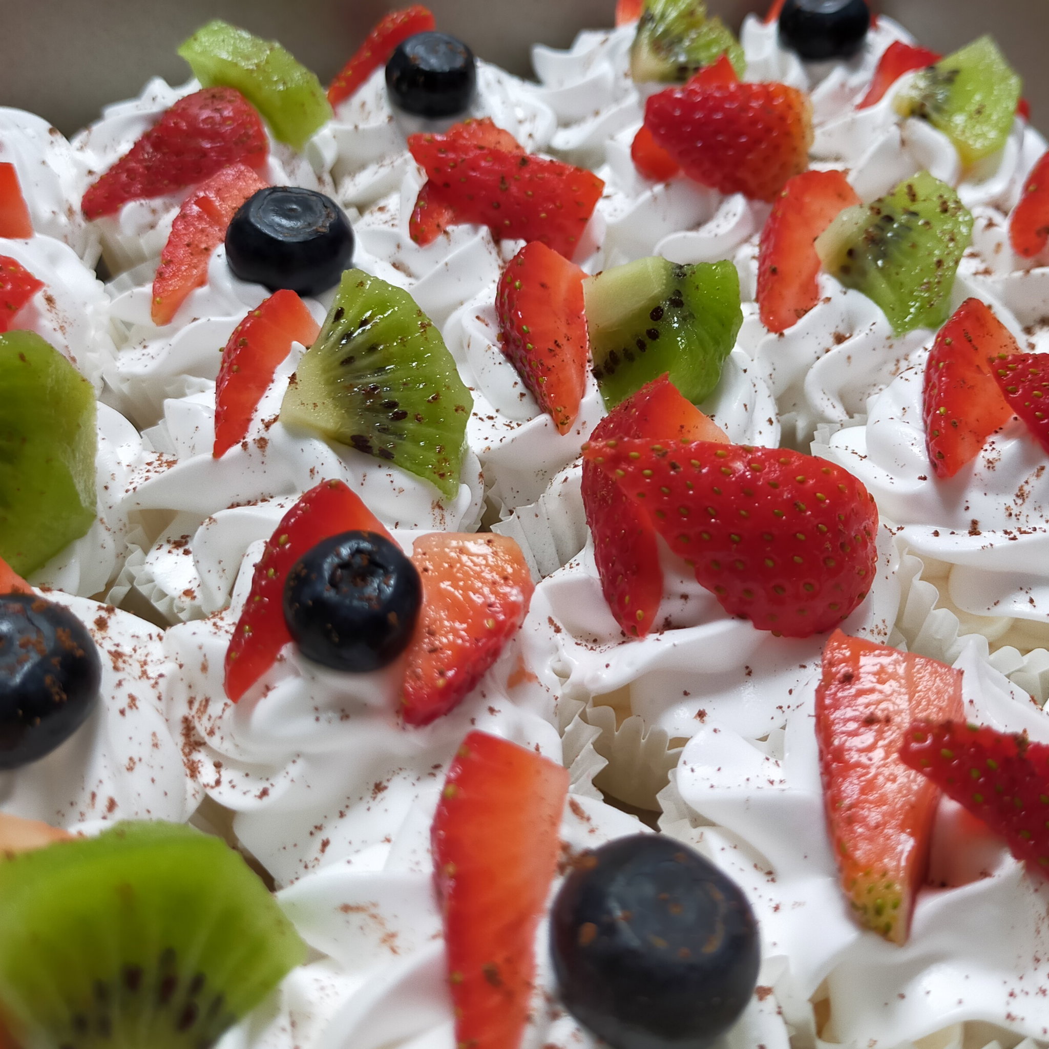 Baby Pavlova_0
