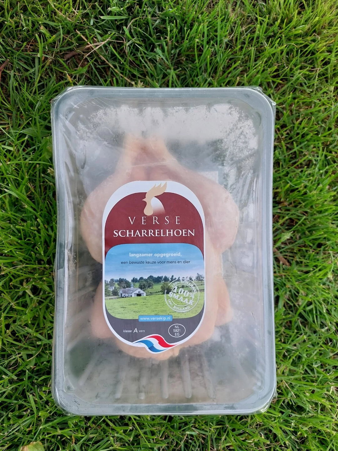 Hele Kip op Schaal ≈ 1.2 KG