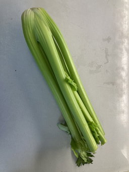 Bleekselderij Bio