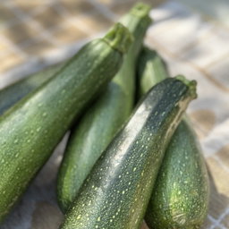 Courgette Bio