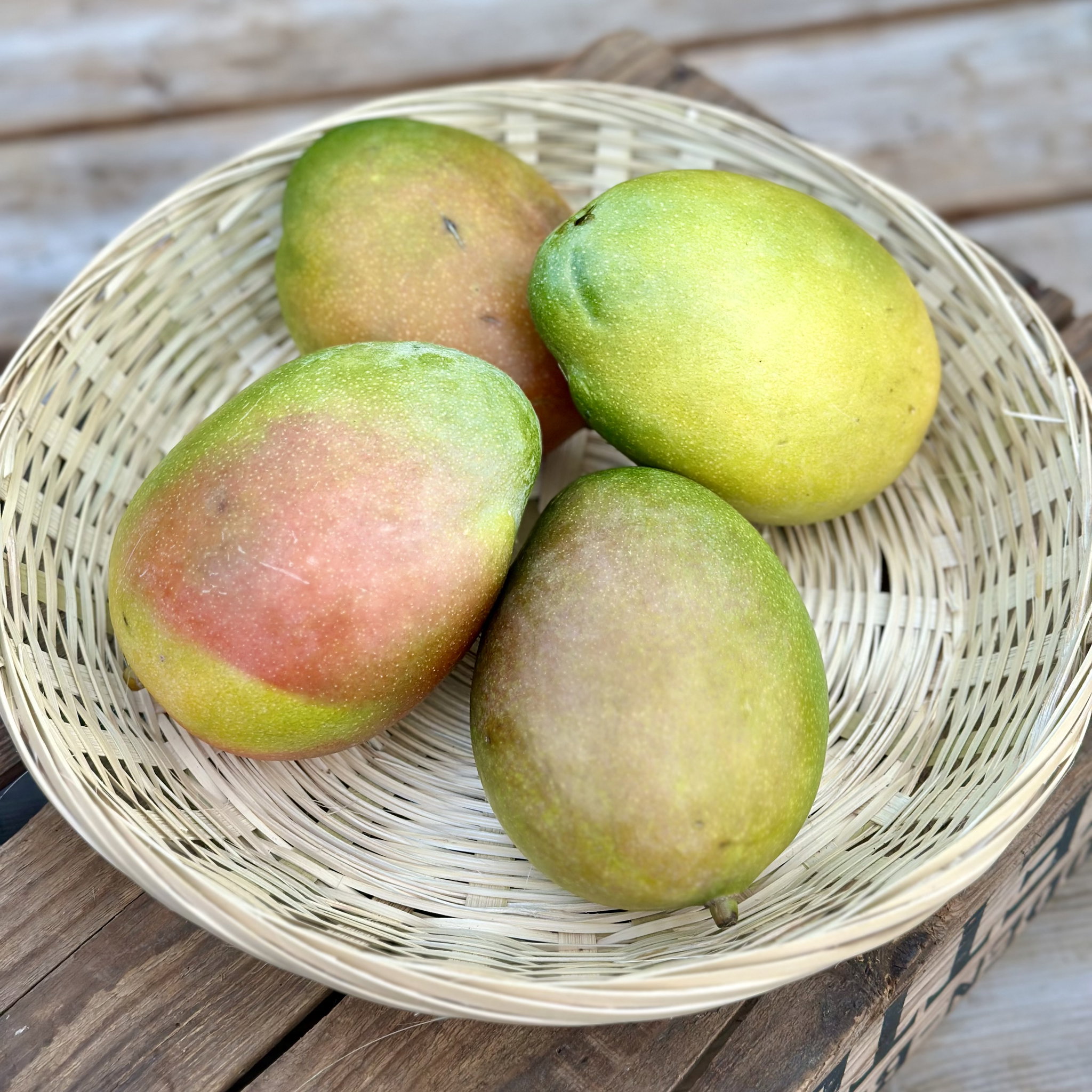 Mango Bio_1