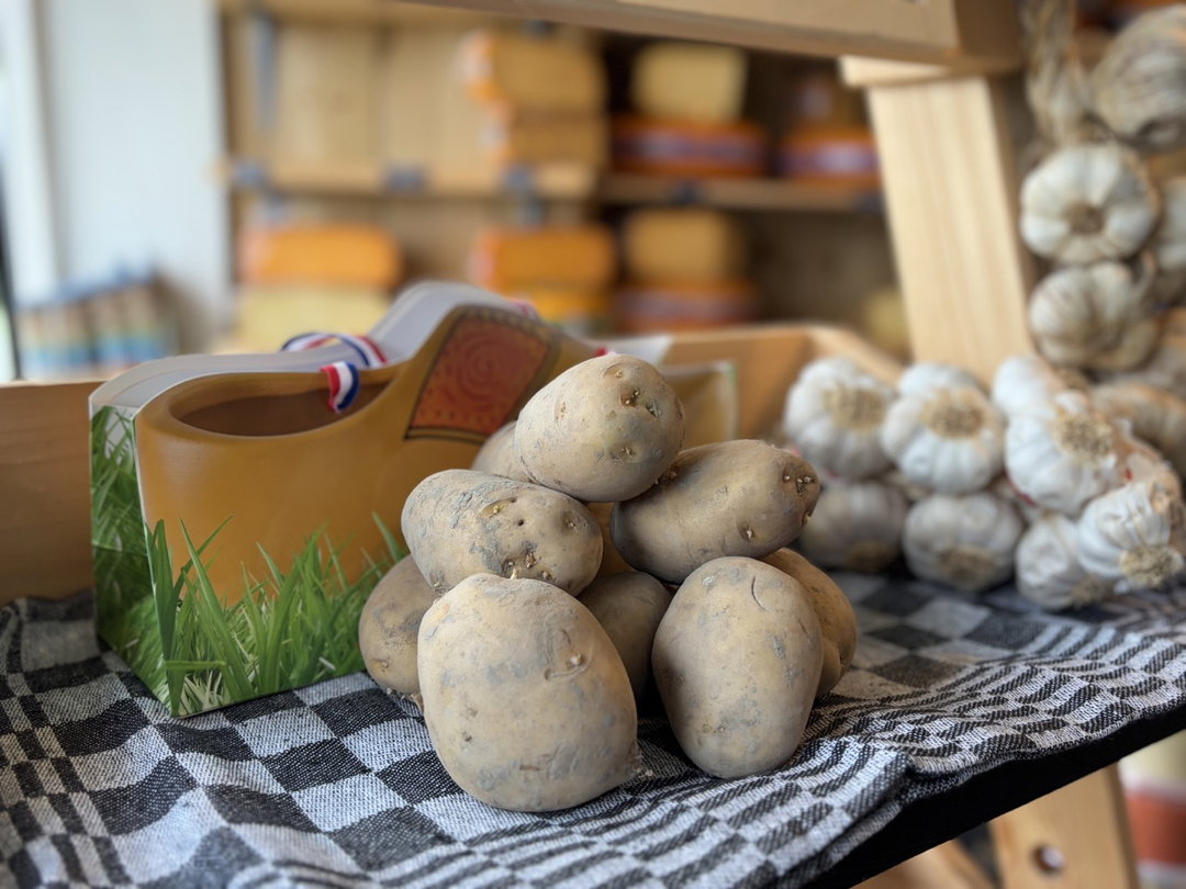 Frieslander Aardappel