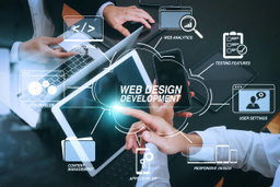 WEB development 