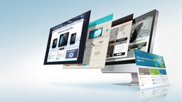 Web Application (websites)