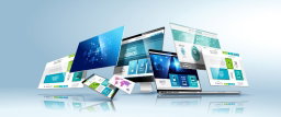 Web Application (websites)
